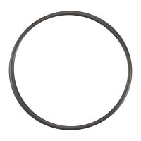 Pierścień uszczelniający na pompie wtryskowej