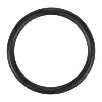 O-ring Iveco OE 17282280