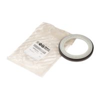 Tylne uszczelnienie wału korbowego