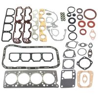 Komplet uszczelek silnika z uszczelnieniem wału