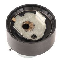 Napinacz paska, pasek rozrządu