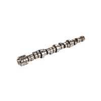 Wałek rozrządu 6.4L V8