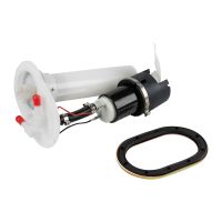 Zespół podawania paliwa z czujnikiem poziomu