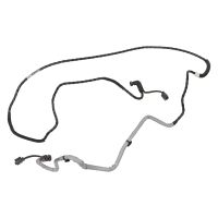 Rura mocznika, zbiornik