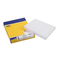 Wewnętrzny filtr przeciwpyłkowy Magneti Marelli