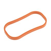 Pierścień uszczelniający kolektora dolotowego, oryginalny FCA