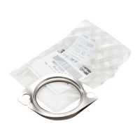 Uszczelka zaworu EGR