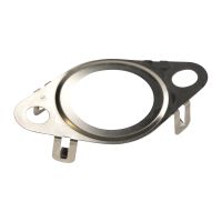 Uszczelniacz zaworu EGR Iveco OE 5801923074