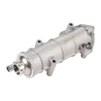 Wymiennik ciepła przed zaworem EGR/EGR