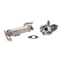 Zawór EGR z wymiennikiem ciepła