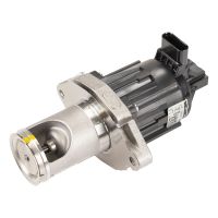 Przepustnica z zaworem EGR