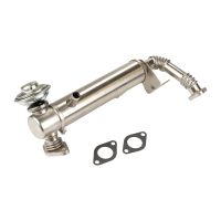 Wymiennik ciepła przed zaworem EGR/EGR