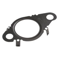 Uszczelka zaworu EGR