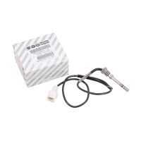 Czujnik temperatury ciśnienia spalin z filtrem sadzy