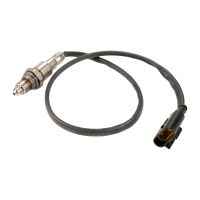 Sonda lambda za Kat Original FCA 55249077