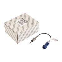 Czujnik temperatury zawór EGR