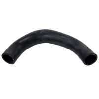 Wąż chłodnicy poniżej