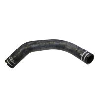 Wąż chłodnicy poniżej