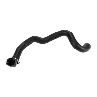 Wąż chłodnicy poniżej