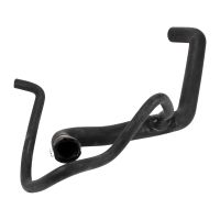 Wąż chłodnicy poniżej