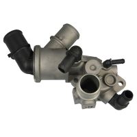 Termostat z uszczelką 1,9 TD 100