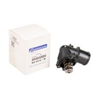 Termostat z obudową