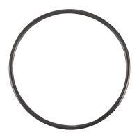 Dichtring Thermostat OE 14459780