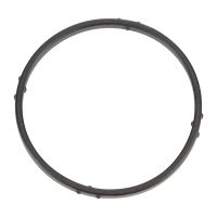 Wasserpumpendichtung