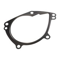 Uszczelka pompy wodnej