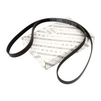 Pasek wielorowkowy 6K1856