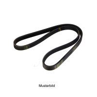 Pasek wielorowkowy 4K810