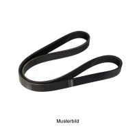 Pasek wielorowkowy 5K0915