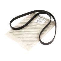 Pasek wielorowkowy 5K1215-8 OE 55240004