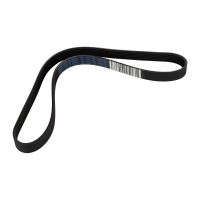 Pasek wielorowkowy 6K0946