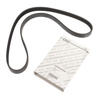 Pasek wielorowkowy 6K1160