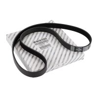 Pasek wielorowkowy 6K1160