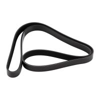 Pasek wielorowkowy CA6PK1375