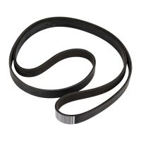 Pasek wielorowkowy 6K1725 OE 55201363