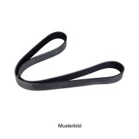 Pasek wielorowkowy 7K1824