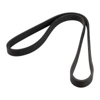 Podwójny pasek wielorowkowy 6DPK1225 DAYCO