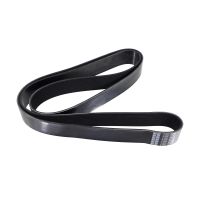 Pasek wielorowkowy 12PK1925HD Dayco