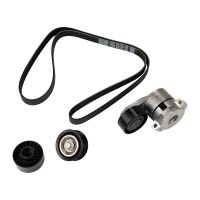 Zestaw paska wielorowkowego