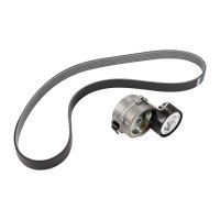 Zestaw paska wielorowkowego PSA OE 1611505480