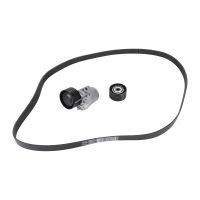 Zestaw paska wielorowkowego