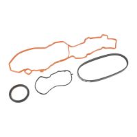 Zestaw paska wielorowkowego