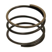 Sprężyna zębata tylnego kardana