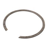 PIERSCIEN USTALAJACY