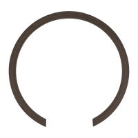 PIERSCIEN USTALAJACY