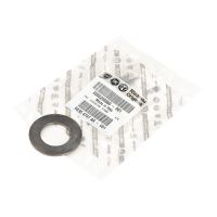 Pierścień ustalający