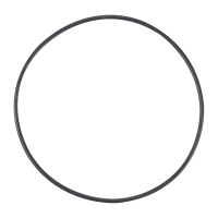 O-ring łożyska tylnego koła